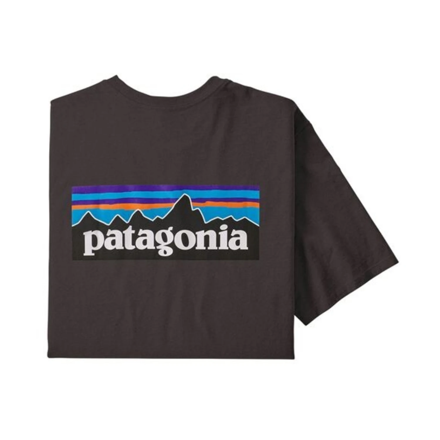 Patagonia Men's P-6 Logo Responsibili-Tee