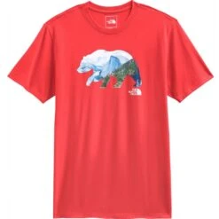 The North Face Men's Short Sleeve TNF Bear Tee